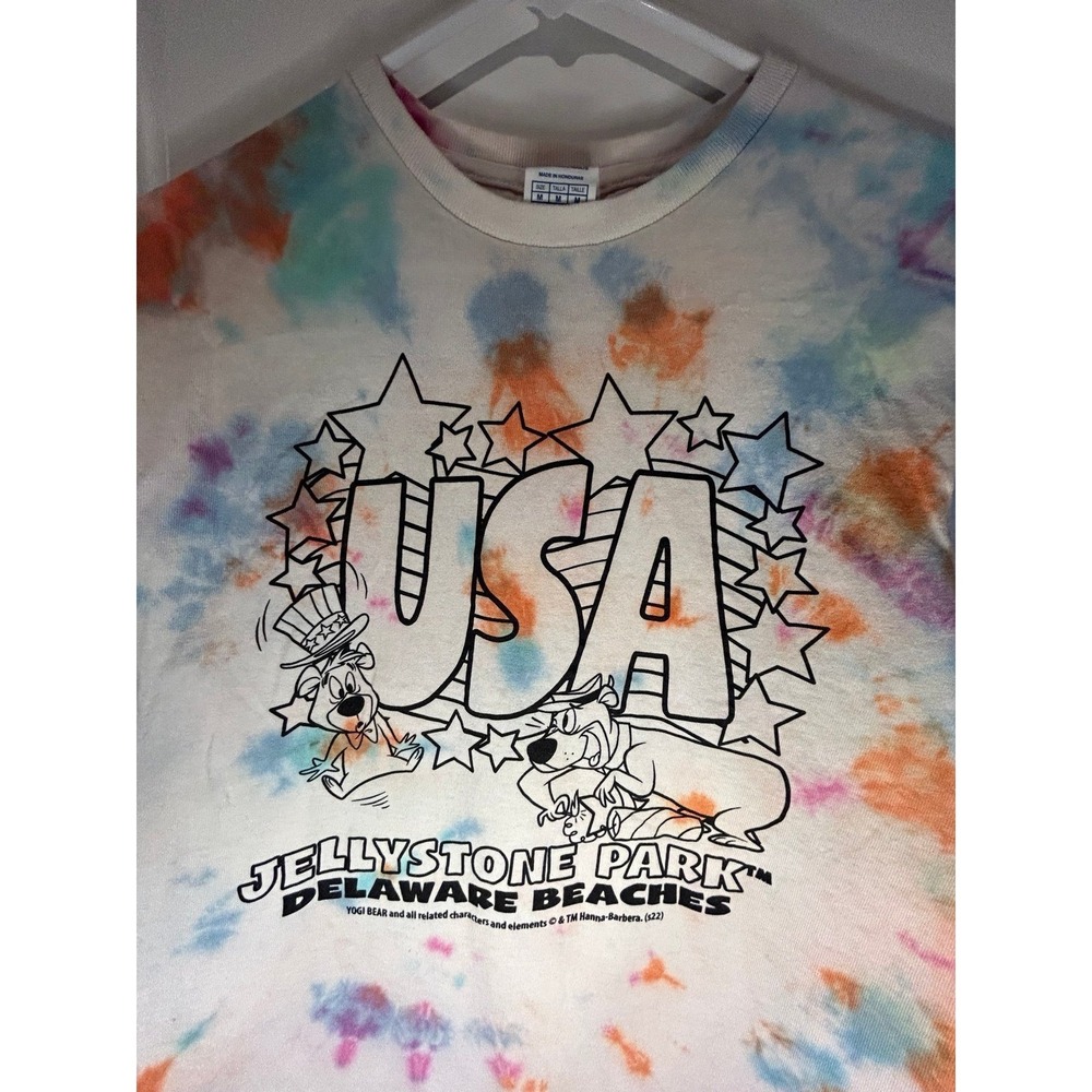 Vintage Y2k Yogi Bear Jellystone Park USA Tie Dye T-Shirt